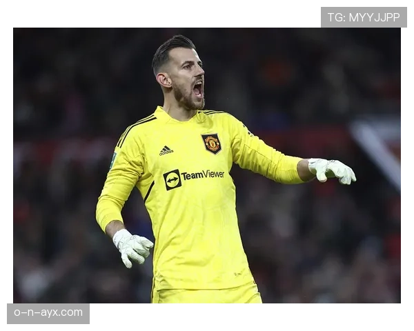 斯洛伐克门将杜布拉夫卡关键扑救力保胜局，表现惊艳