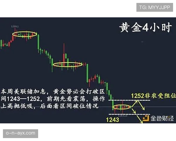 萨利巴伤缺对争冠走势的直接影响分析